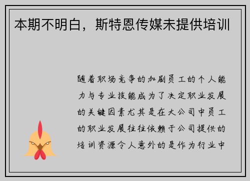 本期不明白，斯特恩传媒未提供培训